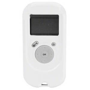 Dolphin Basic Wireless Remote