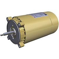 SPX1605Z1M 3/4 Hp Maxrate Motor